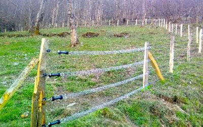 Les activités du moment pour les salariés d’Irisse : pose d’une clôture chez un éleveur en zone de montagne proche de Salau