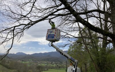 Les travaux autour de la fibre optique continuent…