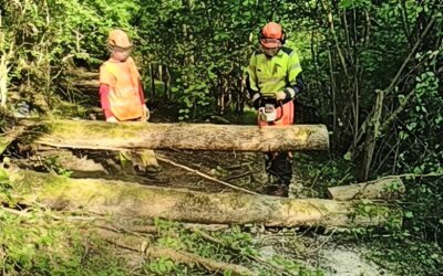 Couserans et Arize-Lèze : les équipes d’Irisse de retour sur les sentiers